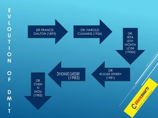 E
V
L
O
U
T
I
O
N
O
F
D
M
I
T
SIR FRANCIS
GALTON (1893)
DR. HAROLD
CUMMINS (1926) DR.
RITA
LEVI-
MONTA
LCINI
(1950s)
DR
CHEN
YI
MOU
(1985)
(1983)
 