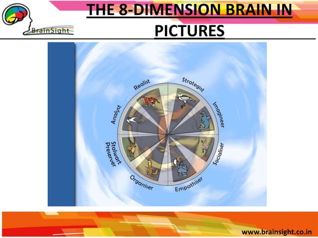 Brainsight Neethling Brain Instruments | PPTX