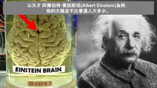 以天才 阿爾伯特·愛因斯坦(Albert Einstein)為例，
他的大腦並不比普通人大多少。
 