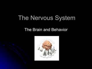 The Nervous System The Brain and Behavior 