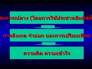 ประสบการณ์ตาง  ( โดยการใช้ประสาทสัมผัสทั้งห้า ) การสังเกต จำแนก และการเปรียบเทียบ ความคิด ความเข้าใจ 