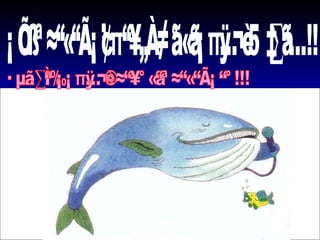 สมองปลาวาฬมีขนาดใหญ่กว่ามนุษย์ 5 เท่า...!! แต่..ทำไมมนุษย์ฉลาดกว่าปลาวาฬมาก!!! 