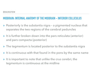 BRAINSTEM
MIDBRAIN: INTERNAL ANATOMY OF THE MIDBRAIN - INFERIOR COLLICULUS
▸ Posteriorly is the substantia nigra – a pigmented nucleus that
separates the two regions of the cerebral peduncles
▸ It is further broken down into the pars reticulata (anterior)
and pars compacta (posterior)
▸ The tegmentum is located posterior to the substantia nigra
▸ It is continuous with that found in the pons by the same name
▸ It is important to note that unlike the crus cerebri, the
tegmentum is continuous at the midline
 