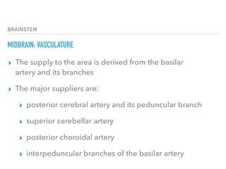 BRAINSTEM
MIDBRAIN: VASCULATURE
▸ The supply to the area is derived from the basilar
artery and its branches
▸ The major suppliers are:
▸ posterior cerebral artery and its peduncular branch
▸ superior cerebellar artery
▸ posterior choroidal artery
▸ interpeduncular branches of the basilar artery
 
