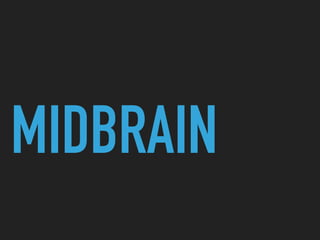 MIDBRAIN
 