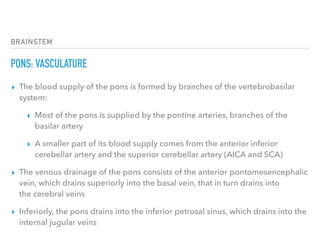 BRAINSTEM
PONS: VASCULATURE
▸ The blood supply of the pons is formed by branches of the vertebrobasilar
system:
▸ Most of the pons is supplied by the pontine arteries, branches of the
basilar artery
▸ A smaller part of its blood supply comes from the anterior inferior
cerebellar artery and the superior cerebellar artery (AICA and SCA)
▸ The venous drainage of the pons consists of the anterior pontomesencephalic
vein, which drains superiorly into the basal vein, that in turn drains into
the cerebral veins
▸ Inferiorly, the pons drains into the inferior petrosal sinus, which drains into the
internal jugular veins
 