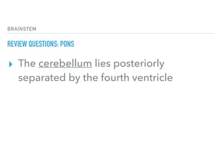BRAINSTEM
REVIEW QUESTIONS: PONS
▸ The cerebellum lies posteriorly
separated by the fourth ventricle
 
