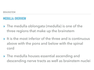 BRAINSTEM
MEDULLA: OVERVIEW
▸ The medulla oblongata (medulla) is one of the
three regions that make up the brainstem
▸ It is the most inferior of the three and is continuous
above with the pons and below with the spinal
cord
▸ The medulla houses essential ascending and 
descending nerve tracts as well as brainstem nuclei
 