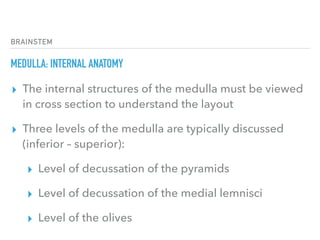 BRAINSTEM
MEDULLA: INTERNAL ANATOMY
▸ The internal structures of the medulla must be viewed
in cross section to understand the layout
▸ Three levels of the medulla are typically discussed
(inferior – superior):
▸ Level of decussation of the pyramids
▸ Level of decussation of the medial lemnisci
▸ Level of the olives
 