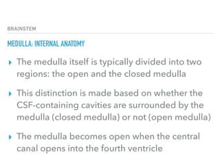 BRAINSTEM
MEDULLA: INTERNAL ANATOMY
▸ The medulla itself is typically divided into two
regions: the open and the closed medulla
▸ This distinction is made based on whether the
CSF-containing cavities are surrounded by the
medulla (closed medulla) or not (open medulla)
▸ The medulla becomes open when the central
canal opens into the fourth ventricle
 