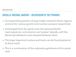 BRAINSTEM
MEDULLA: INTERNAL ANATOMY - DECUSSATION OF THE PYRAMIDS
▸ Corresponding portions of gray matter extend to these regions
and are the nucleus gracilis and nucleus cuneatus respectively
▸ Unchanged from the spinal cord, the spinocerebellar
tracts (posterior and anterior) are located  laterally, with the
lateral spinothalamic tract situated between them
▸ The large trigeminal nucleus and tracts can be found posterior
to these tracts
▸ This is a continuation of the substantia gelatinosa of the spinal
cord
 