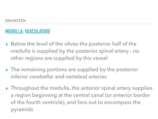 BRAINSTEM
MEDULLA: VASCULATURE
▸ Below the level of the olives the posterior half of the
medulla is supplied by the posterior spinal artery - no
other regions are supplied by this vessel
▸ The remaining portions are supplied by the posterior
inferior cerebellar and vertebral arteries
▸ Throughout the medulla, the anterior spinal artery supplies
a region beginning at the central canal (or anterior border
of the fourth ventricle), and fans out to encompass the
pyramids
 