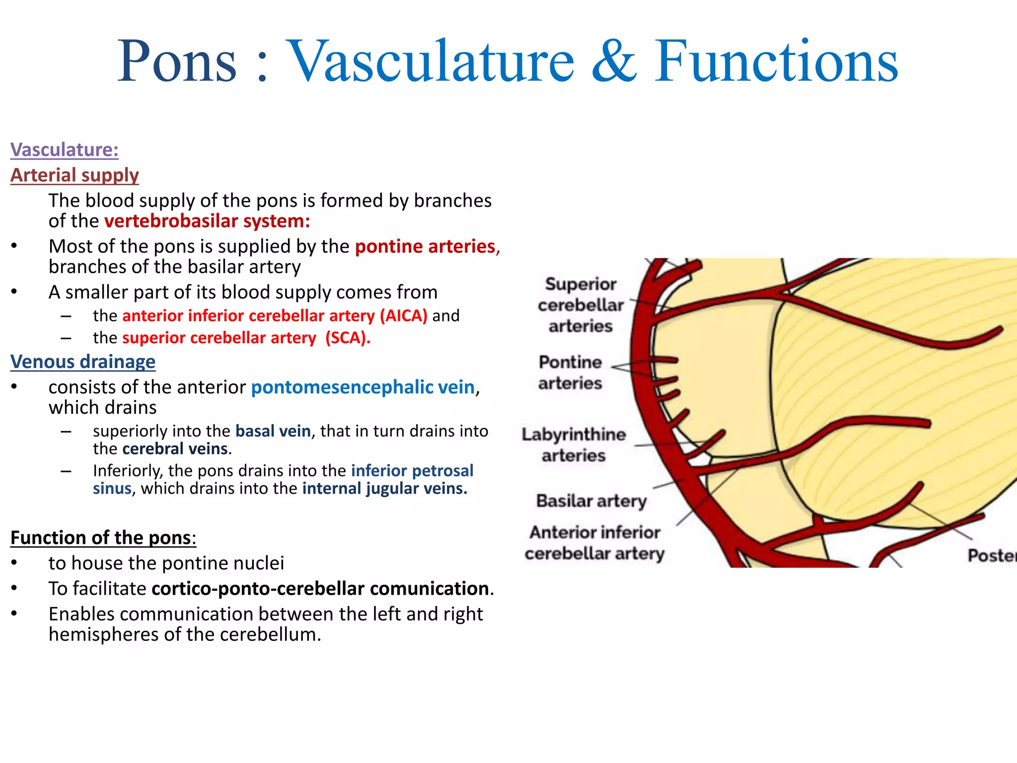 Pons : Vasculature & Functions
Vasculature:
Arterial supply
The blood supply of the pons is formed by branches
of the vertebrobasilar system:
• Most of the pons is supplied by the pontine arteries,
branches of the basilar artery
• A smaller part of its blood supply comes from
– the anterior inferior cerebellar artery (AICA) and
– the superior cerebellar artery (SCA).
Venous drainage
• consists of the anterior pontomesencephalic vein,
which drains
– superiorly into the basal vein, that in turn drains into
the cerebral veins.
– Inferiorly, the pons drains into the inferior petrosal
sinus, which drains into the internal jugular veins.
Function of the pons:
• to house the pontine nuclei
• To facilitate cortico-ponto-cerebellar comunication.
• Enables communication between the left and right
hemispheres of the cerebellum.
 