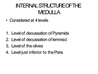 Anatomy of brain steam midbrain pons and medulla | PPTX