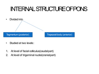 Anatomy of brain steam midbrain pons and medulla | PPTX