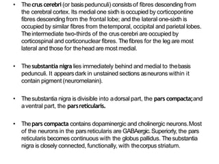 Anatomy of brain steam midbrain pons and medulla | PPTX