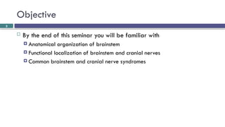 Brainstem and CN localization Yilkal.pptx