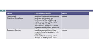 Brainstem and CN localization Yilkal.pptx