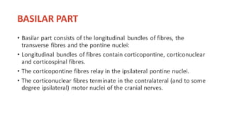 BASILAR PART
• Basilar part consists of the longitudinal bundles of fibres, the
transverse fibres and the pontine nuclei:
• Longitudinal bundles of fibres contain corticopontine, corticonuclear
and corticospinal fibres.
• The corticopontine fibres relay in the ipsilateral pontine nuclei.
• The corticonuclear fibres terminate in the contralateral (and to some
degree ipsilateral) motor nuclei of the cranial nerves.
 