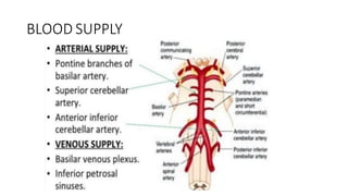 BLOOD SUPPLY
 