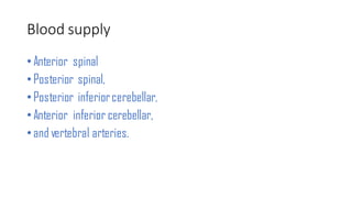 Blood supply
•Anterior spinal
•Posterior spinal,
•Posterior inferiorcerebellar,
•Anterior inferior cerebellar,
•and vertebral arteries.
 