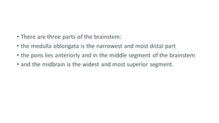 • There are three parts of the brainstem:
• the medulla oblongata is the narrowest and most distal part
• the pons lies anteriorly and in the middle segment of the brainstem
• and the midbrain is the widest and most superior segment.
 