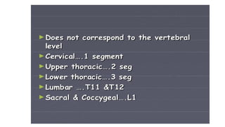 Brain stem and spinal cord
