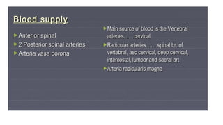 Brain stem and spinal cord