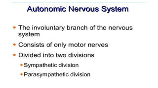 Brain stem and spinal cord