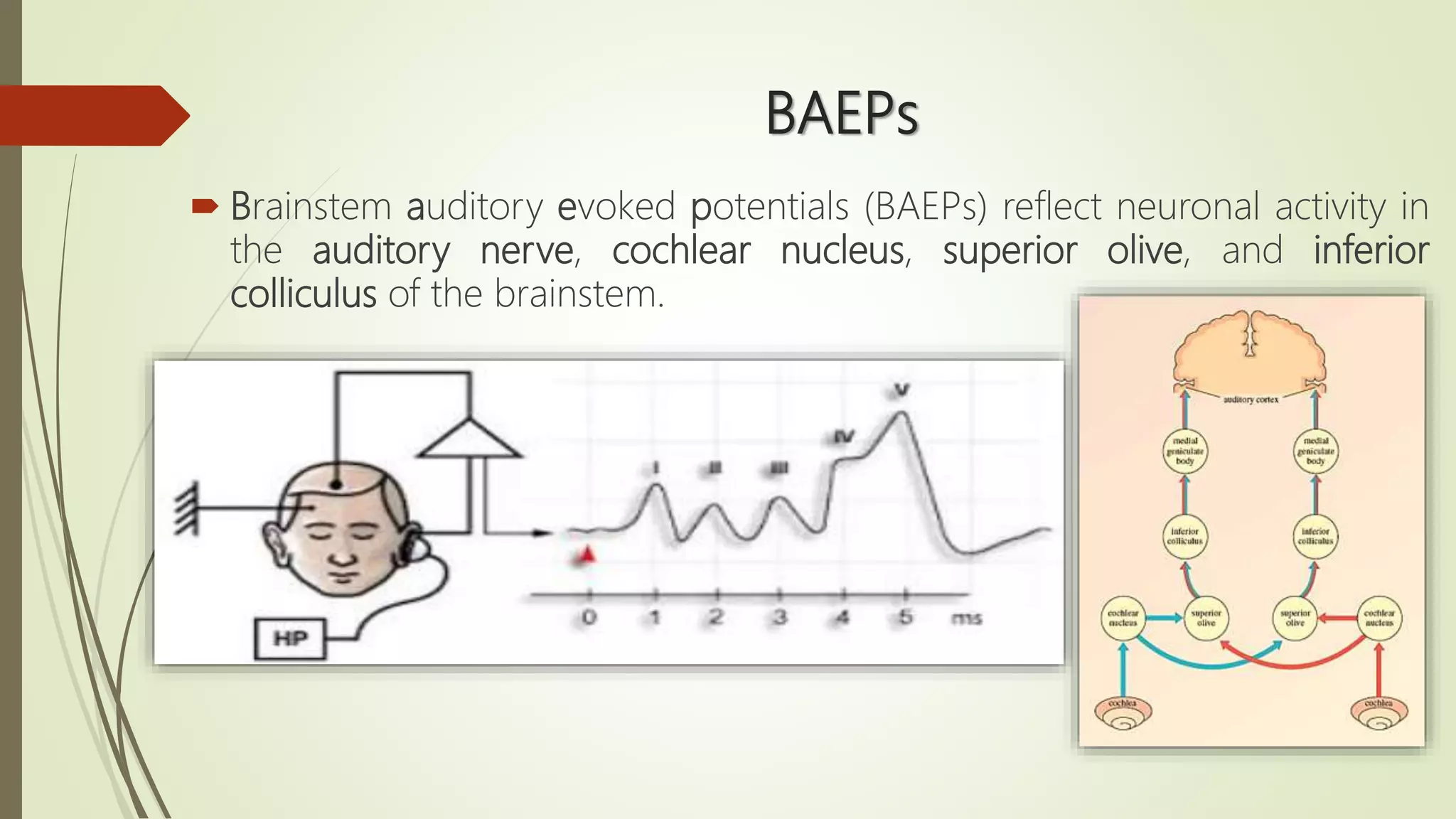 BAEPs
 Brainstem auditory evoked potentials (BAEPs) reflect neuronal activity in
the auditory nerve, cochlear nucleus, superior olive, and inferior
colliculus of the brainstem.
 