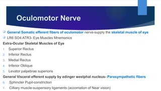 Brainstem by Dr. Rabia Inam Gandapore.pptx