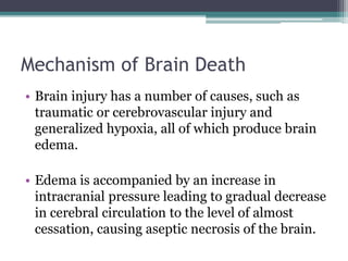 Brainstem death | PPTX