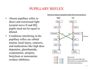 PUPILLARY REFLEX
• Absent pupillary reflex to
direct and consensual light
[cranial nerve II and III];
pupils need not be equal or
dilated.
• Conditions interfering in the
pupillary reflex are orbital
trauma, head injury, cataracts,
and medications like high dose
dopamine, glutethamide,
scopolamine, atropine,
bretylium or monoamine
oxidase inhibitors.
22
 