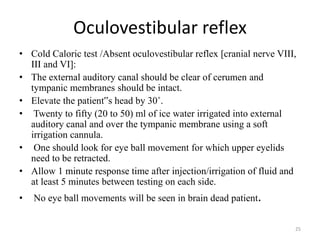 Oculovestibular reflex
• Cold Caloric test /Absent oculovestibular reflex [cranial nerve VIII,
III and VI]:
• The external auditory canal should be clear of cerumen and
tympanic membranes should be intact.
• Elevate the patient‟s head by 30˚.
• Twenty to fifty (20 to 50) ml of ice water irrigated into external
auditory canal and over the tympanic membrane using a soft
irrigation cannula.
• One should look for eye ball movement for which upper eyelids
need to be retracted.
• Allow 1 minute response time after injection/irrigation of fluid and
at least 5 minutes between testing on each side.
• No eye ball movements will be seen in brain dead patient.
25
 