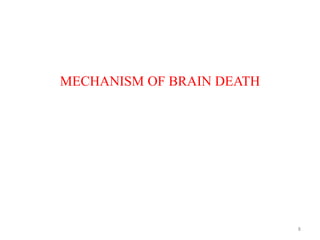 MECHANISM OF BRAIN DEATH
8
 