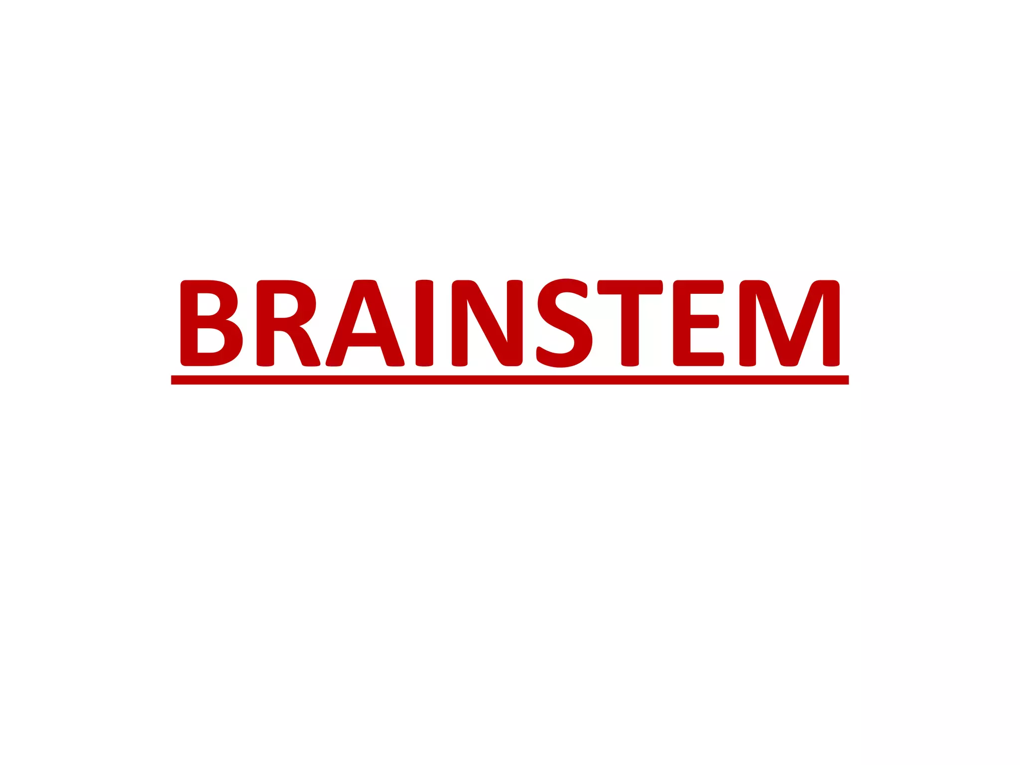 BRAINSTEM 