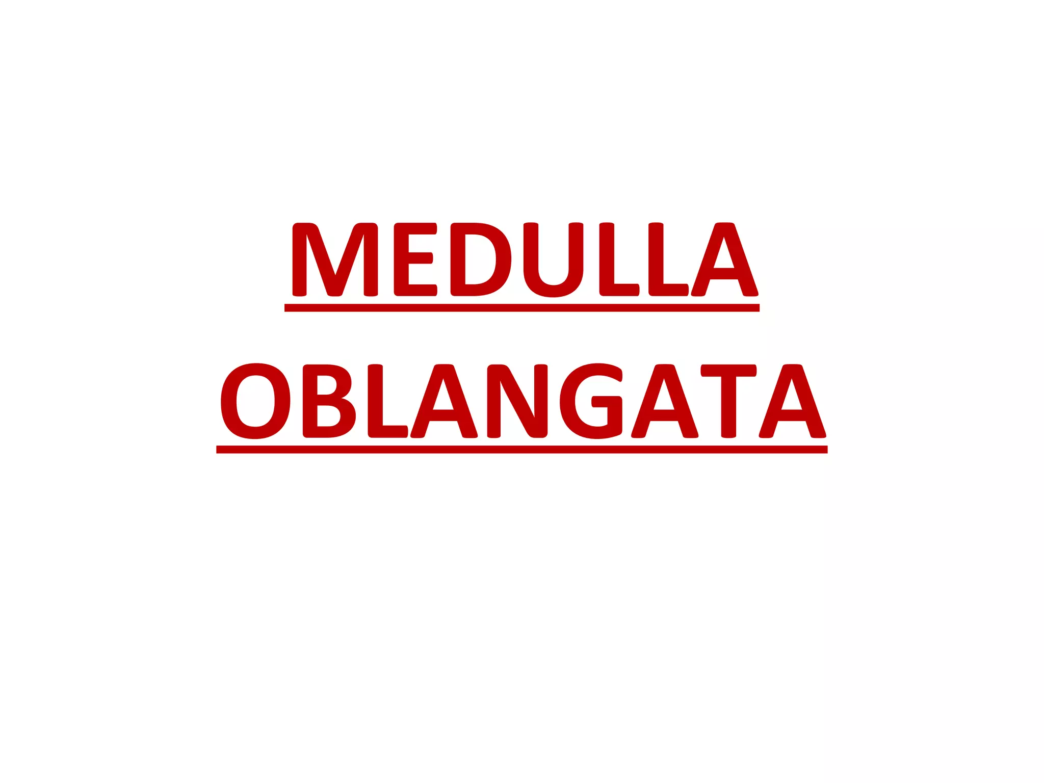 MEDULLA OBLANGATA 