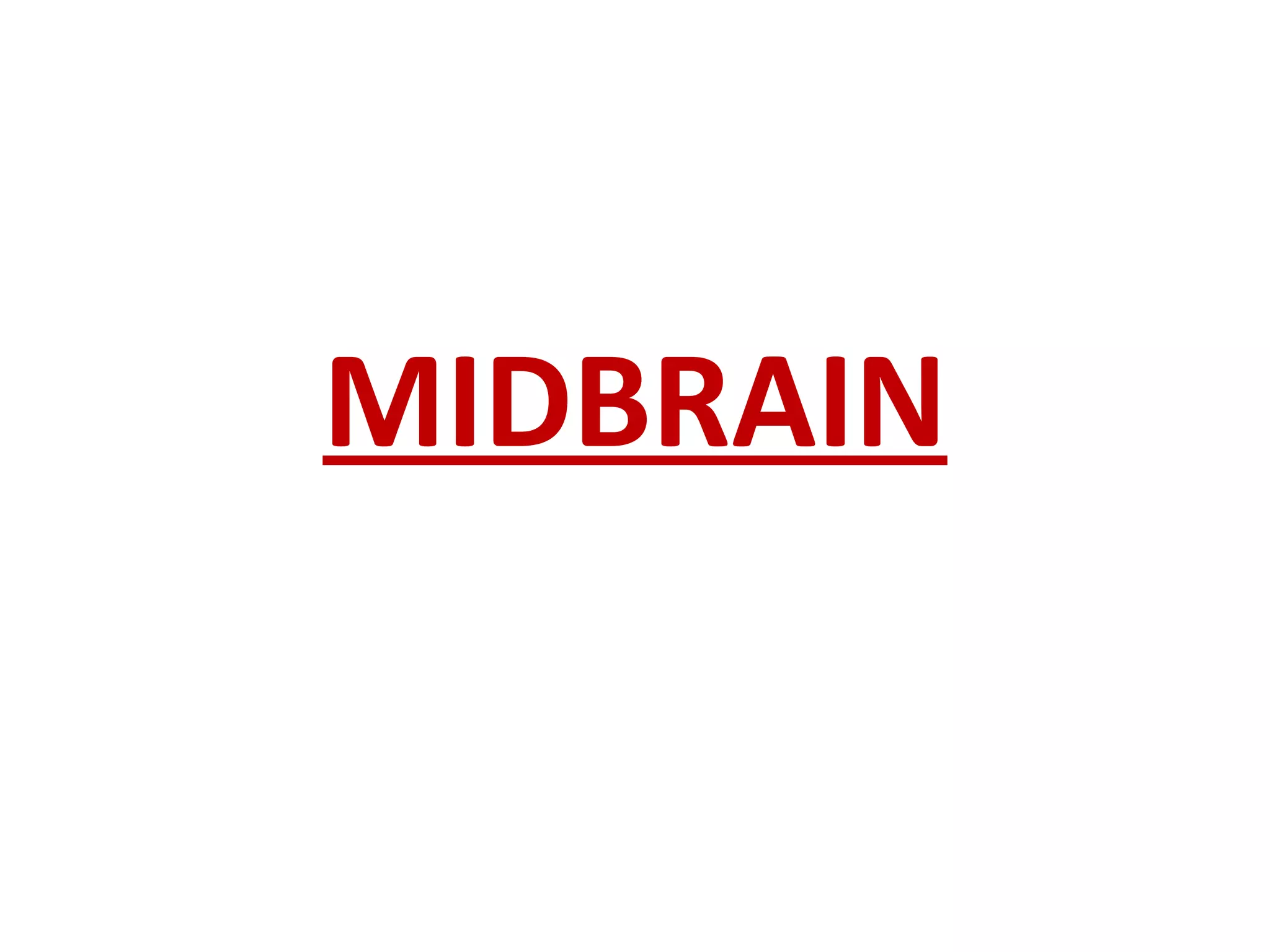 MIDBRAIN 