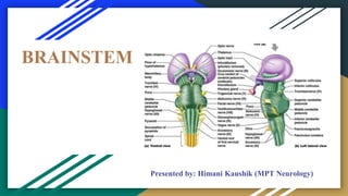 BRAINSTEM
Presented by: Himani Kaushik (MPT Neurology)
 