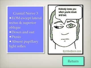 Cranial Nerve 3
•EOM except lateral
rectus & superior
oblique
•Down and out
•Ptosis
•Absent pupillary
light reﬂex



                      Return
 