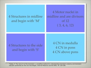 4 Motor nuclei in
4 Structures in midline                                    midline and are divisors
  and begin with ‘M’                                                 of 12
                                                                 ( 3, 4, 6, 12)




                                                                   4 CN in medulla
4 Structures to the side
                                                                     4 CN in pons
   and begin with ‘S’
                                                                   4 CN above pons


*Gates, P. The rule of 4 of the brainstem: a simplified method for understanding brainstem anatomy and brainstem
vascular syndromes for the non-neurologist. Internal Medicine Journal 2005; 35: 263-266
 