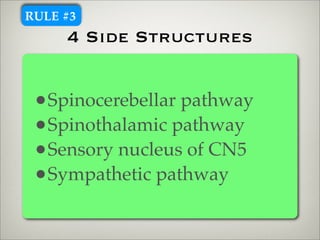RULE #3
     4 Side Structures


 •Spinocerebellar pathway
 •Spinothalamic pathway
 •Sensory nucleus of CN5
 •Sympathetic pathway
 