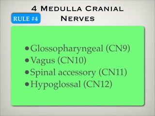 4 Medulla Cranial
RULE #4   Nerves


  •Glossopharyngeal (CN9)
  •Vagus (CN10)
  •Spinal accessory (CN11)
  •Hypoglossal (CN12)
 