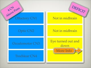 DE
 4 CN ons                            FIC
       P                                 IT
    ve
A bo
     Olfactory CN1    Not in midbrain


       Optic CN2      Not in midbrain


                     Eye turned out and
   Occulomotor CN3
                           down
                        More Info
     Trochlear CN4
 