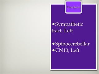Structure




•Sympathetic
tract, Left

•Spinocerebellar
•CN10, Left
 