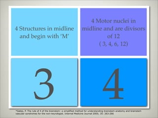 4 Motor nuclei in
4 Structures in midline                                    midline and are divisors
  and begin with ‘M’                                                 of 12
                                                                 ( 3, 4, 6, 12)




               3                                                             4
                                                                   4 CN in medulla
4 Structures to the side
                                                                     4 CN in pons
   and begin with ‘S’
                                                                   4 CN above pons


*Gates, P. The rule of 4 of the brainstem: a simplified method for understanding brainstem anatomy and brainstem
vascular syndromes for the non-neurologist. Internal Medicine Journal 2005; 35: 263-266
 
