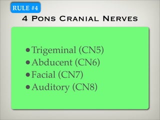 RULE #4
  4 Pons Cranial Nerves


   •Trigeminal (CN5)
   •Abducent (CN6)
   •Facial (CN7)
   •Auditory (CN8)
 