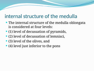 internal structure of the medulla
 The internal structure of the medulla oblongata
is considered at four levels:
 (1) level of decussation of pyramids,
 (2) level of decussation of lemnisci,
 (3) level of the olives, and
 (4) level just inferior to the pons
 