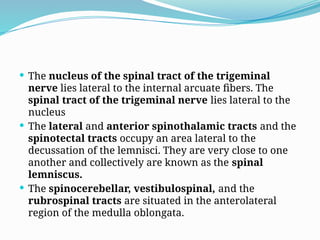  The nucleus of the spinal tract of the trigeminal
nerve lies lateral to the internal arcuate fibers. The
spinal tract of the trigeminal nerve lies lateral to the
nucleus
 The lateral and anterior spinothalamic tracts and the
spinotectal tracts occupy an area lateral to the
decussation of the lemnisci. They are very close to one
another and collectively are known as the spinal
lemniscus.
 The spinocerebellar, vestibulospinal, and the
rubrospinal tracts are situated in the anterolateral
region of the medulla oblongata.
 