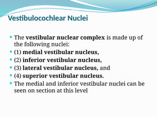 Vestibulocochlear Nuclei
 The vestibular nuclear complex is made up of
the following nuclei:
 (1) medial vestibular nucleus,
 (2) inferior vestibular nucleus,
 (3) lateral vestibular nucleus, and
 (4) superior vestibular nucleus.
 The medial and inferior vestibular nuclei can be
seen on section at this level
 